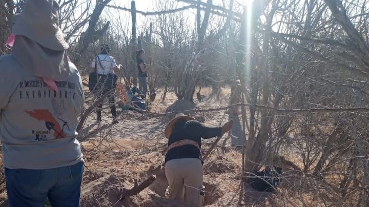 Hallan nueve fosas con restos de 14 cadáveres en Baja California Sur