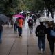 Persistirán lluvias entre lunes y jueves en estas entidades; frente frío 7 se volverá estacionario