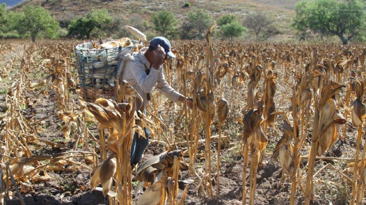 Los ejidatarios están interesados en la legalidad de sus tierras