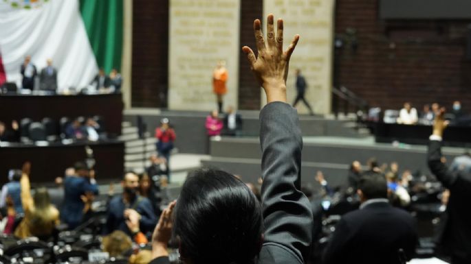 El medio ambiente se marchita en el presupuesto de la 4T