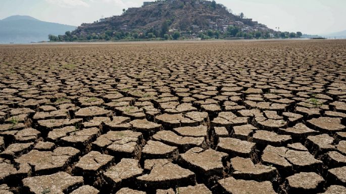 2024 en imágenes de Proceso (Fotogalería)