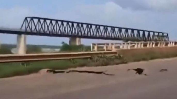 Colapso de puente en Brasil deja al menos dos muertos y una decena de desaparecidos (Video)