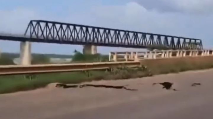 Colapso de puente en Brasil deja al menos dos muertos y una decena de desaparecidos (Video)