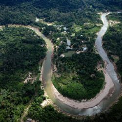 Sequía, incendios y deforestación azotaron la selva amazónica en 2024