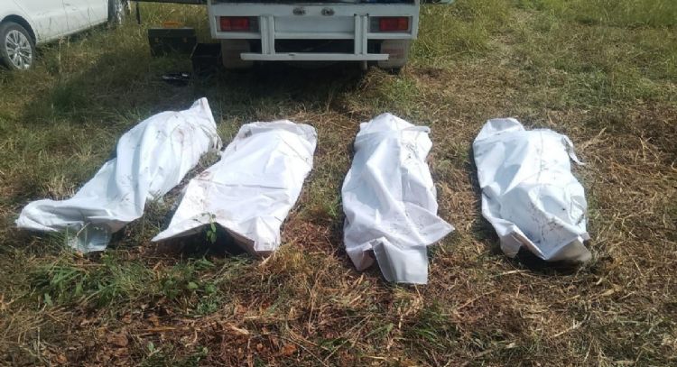 Hallan al menos 38 cuerpos en fosa clandestina de Zapopan; suman 223 bolsas con restos