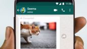 WhatsApp facilitará el reenvío directo de fotos y videos a otras plataformas