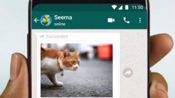 WhatsApp facilitará el reenvío directo de fotos y videos a otras plataformas