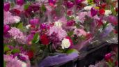 Ya no son pasteles, ahora revendedores arrasan con flores del Costco