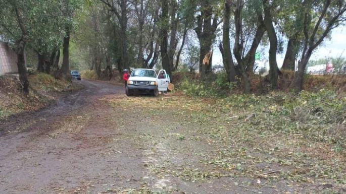 Talamontes asesinan a tres guardabosques en Puebla