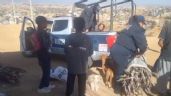 Policías de Oaxaca detienen a dos mujeres por recoger leña en un cerro (Video)