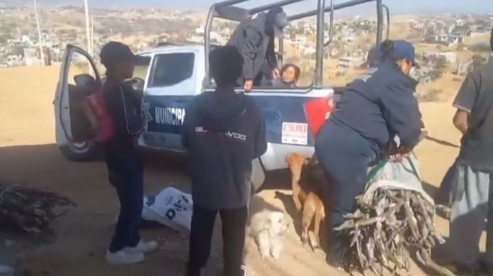 Policías de Oaxaca detienen a dos mujeres por recoger leña en un cerro (Video)