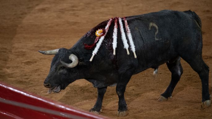 Corrida de toros: Detienen a 17 presuntos revendedores en la Plaza México