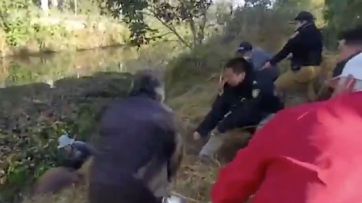 Así fue rescate de un caballo que cayó a un canal de Xochimilco (Video)