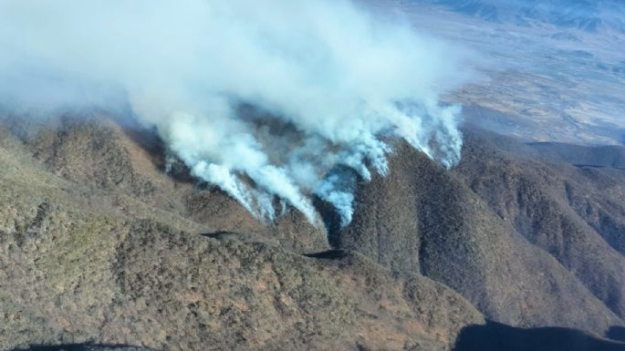 Gobierno de Oaxaca anuncia “plan emergente” tras incendio forestal que dejó cinco muertos