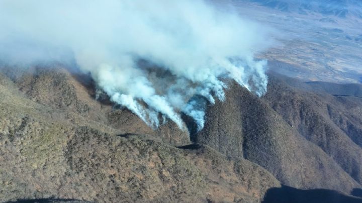 Gobierno de Oaxaca anuncia “plan emergente” tras incendio forestal que dejó cinco muertos