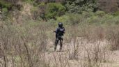 Hallan siete cuerpos en un campamento del crimen organizado en Michoacán