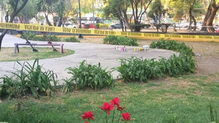 Paseo de perros termina en tragedia: Joven murió degollado y tres personas resultaron heridas en Coyoacán