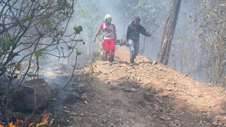 Mueren tres guardabosques en un incendio forestal en Edomex