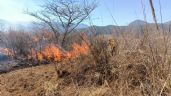 El Ejército activa el Plan DNIII por incendios forestales en Veracruz