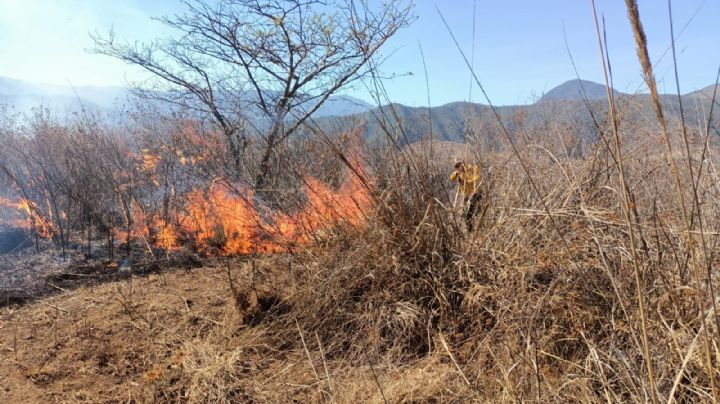 El Ejército activa el Plan DNIII por incendios forestales en Veracruz