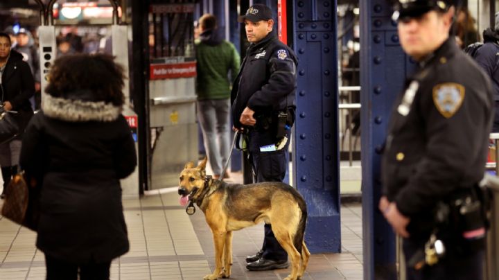 Muere una persona al ser empujada hacia las vías en metro de Nueva York