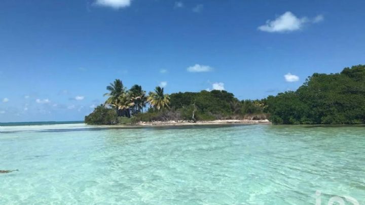 Ponen a la venta Cayo Culebra, la última isla virgen de la Riviera Maya; este es el precio