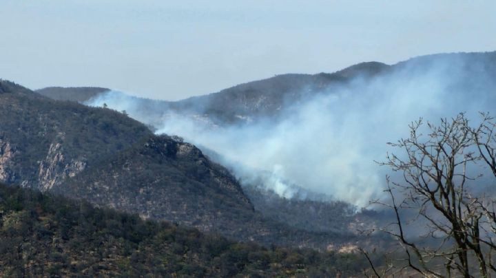 Incendio en la Sierra de Santa Rosa, Guanajuato, ya afectó 2 mil hectáreas