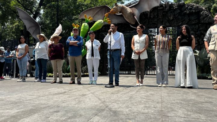 Chapultepec: Festejan a los murciélagos y destacan sus aportaciones al medio ambiente (Video)