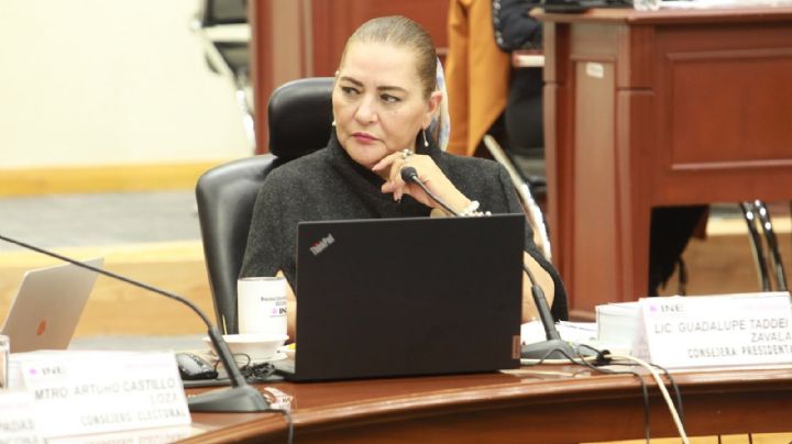 Guadalupe Taddei rechaza la posibilidad de un “golpe de estado técnico”, como afirma AMLO