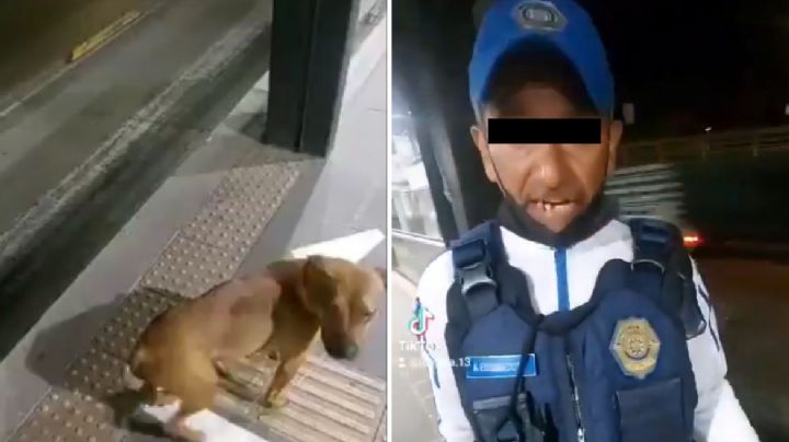 Policía que dio palazo a perro en el Metrobús es suspendido (Video)