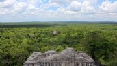 Unesco solicita a México información sobre hotel en la Reserva de Calakmul