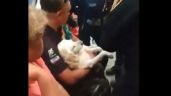 Foto ilustrativa de la nota titulada: ¿Usuarios del Metro pueden llevar a sus mascotas en ese transporte? Esto dice la ley (Video)