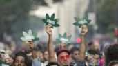 Brasil aprueba por amplia mayoría criminalizar la posesión de cualquier cantidad de droga