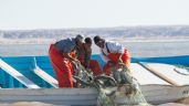 Gobierno de AMLO se ha echado para atrás en el combate a la pesca ilegal: Oceana