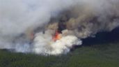 Incendios y calentamiento cambian rápidamente ecosistemas en Canadá