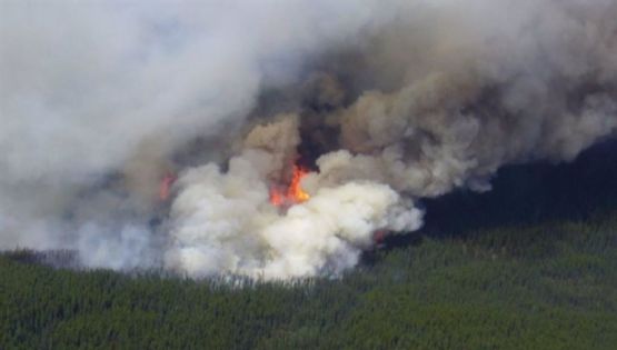 Incendios y calentamiento cambian rápidamente ecosistemas en Canadá