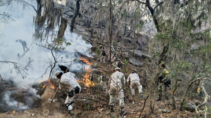 204 incendios activos en México, el mayor número de siniestros registrados en un día