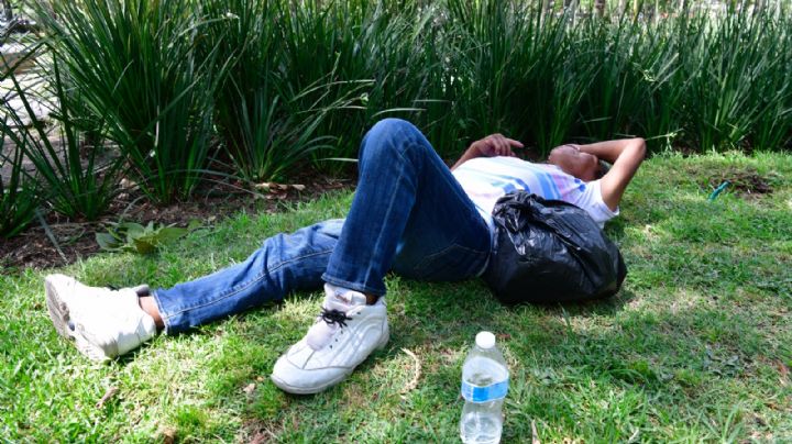 Se disparan las muertes por calor en México: Pasan de 7 a 26 decesos en una semana