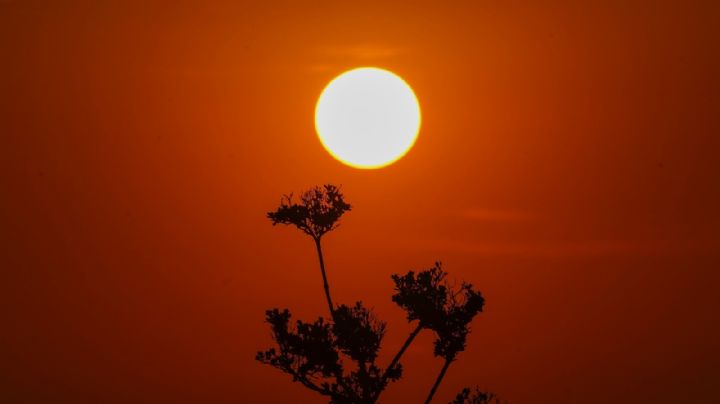 ¿Qué es el "domo de calor" y por qué causa temperaturas sofocantes en México?