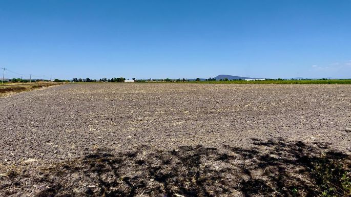 Fabricantes de agroquímicos piden continuidad transexenal para un uso eficaz del agua