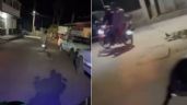 Sujetos amarran una perra a motocicleta y la arrastran hasta que desvanece en Michoacán (Videos)