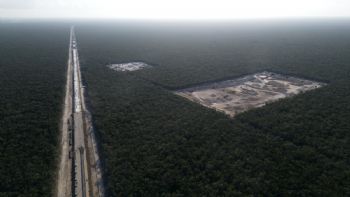 La simulación del cuidado del medio ambiente en México