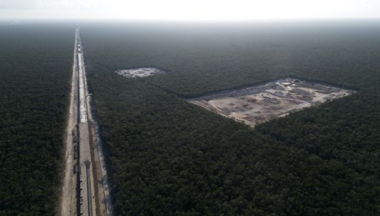 La simulación del cuidado del medio ambiente en México