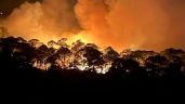 Valle de Bravo: cuatro incendios forestales siguen activos desde el domingo (Video)
