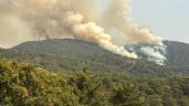 Nuevo incendio en Valle de Bravo, ahora en Monte Alto; reserva natural, en peligro (Videos)