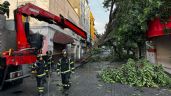 Martes de rachas de viento y posibles torbellinos; se prevén lluvias intensas en estas entidades