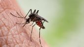 Foto ilustrativa de la nota titulada: México registra más de 75 mil casos de dengue