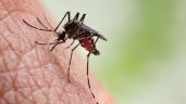 Aumentan casos de dengue en México; reportan 26 víctimas mortales