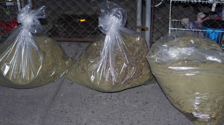 Autoridad asegura 350 kilogramos de marihuana en la alcaldía Venustiano Carranza