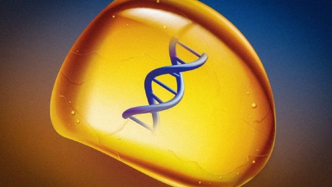 Crean un ámbar sintético para guardar ADN sin congelarlo